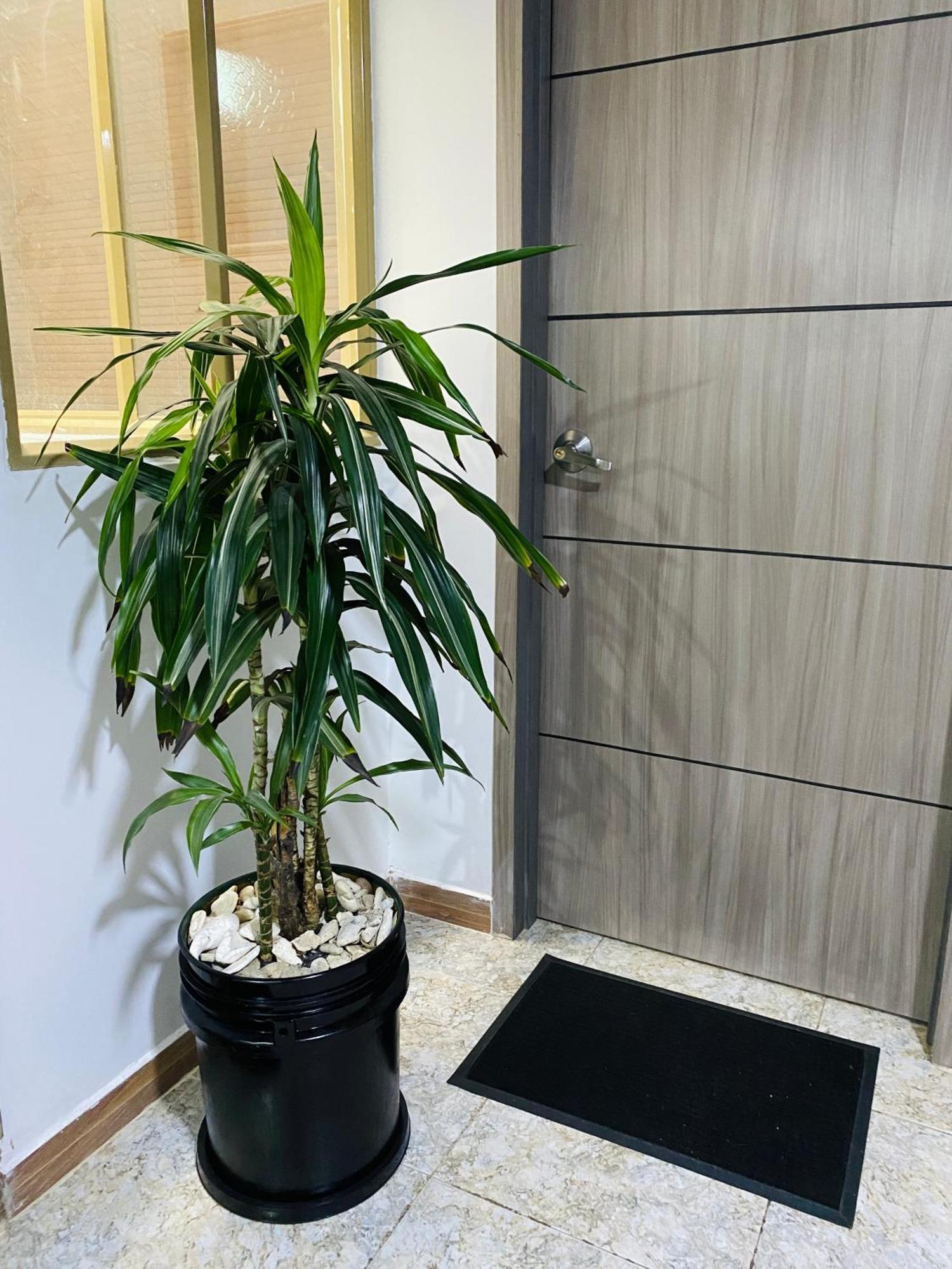 Bogotá Kings 2 Apartman Kültér fotó